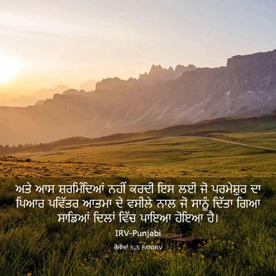Picture 03 - ਰੋਮੀਆਂ 5:5 PANIRV - ਅਤੇ ਆਸ ਸ਼ਰਮਿੰਦਿਆਂ - Bible Verse Picture