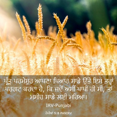 Picture 03 - ਰੋਮੀਆਂ 5:8 PANIRV - ਪ੍ਰੰਤੂ ਪਰਮੇਸ਼ੁਰ - Bible Verse Picture