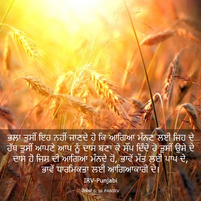 Picture 03 - ਰੋਮੀਆਂ 6:16 PANIRV - ਭਲਾ ਤੁਸੀਂ ਇਹ ਨਹੀਂ - Bible Verse Picture