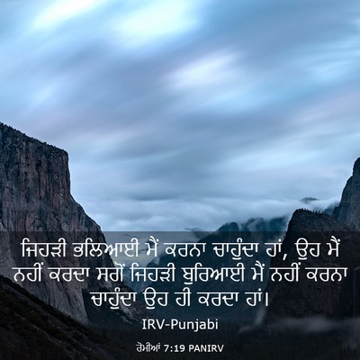Picture 03 - ਰੋਮੀਆਂ 7:19 PANIRV - ਜਿਹੜੀ ਭਲਿਆਈ ਮੈਂ - Bible Verse Picture