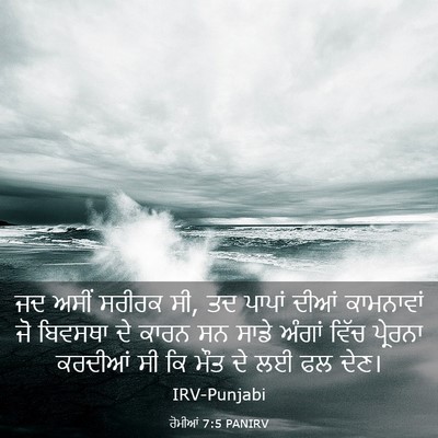 Picture 03 - ਰੋਮੀਆਂ 7:5 PANIRV - ਜਦ ਅਸੀਂ ਸਰੀਰਕ ਸੀ, - Bible Verse Picture