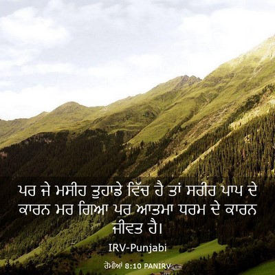 Picture 03 - ਰੋਮੀਆਂ 8:10 PANIRV - ਪਰ ਜੇ ਮਸੀਹ ਤੁਹਾਡੇ - Bible Verse Picture