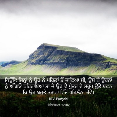 Picture 03 - ਰੋਮੀਆਂ 8:29 PANIRV - ਕਿਉਂਕਿ ਜਿਨ੍ਹਾਂ - Bible Verse Picture
