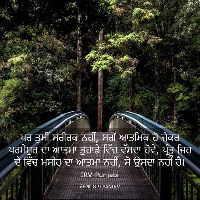 Picture 03 - ਰੋਮੀਆਂ 8:9 PANIRV - ਪਰ ਤੁਸੀਂ ਸਰੀਰਕ - Bible Verse Picture