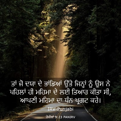 Picture 03 - ਰੋਮੀਆਂ 9:23 PANIRV - ਤਾਂ ਜੋ ਦਯਾ ਦੇ - Bible Verse Picture