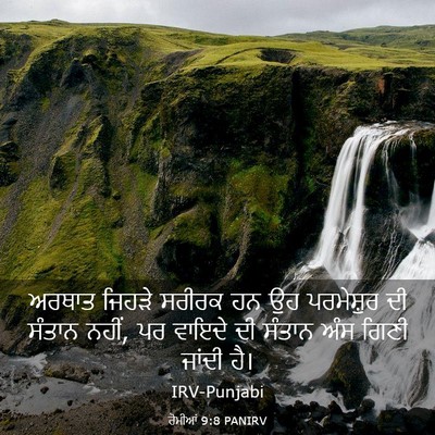 Picture 03 - ਰੋਮੀਆਂ 9:8 PANIRV - ਅਰਥਾਤ ਜਿਹੜੇ ਸਰੀਰਕ - Bible Verse Picture