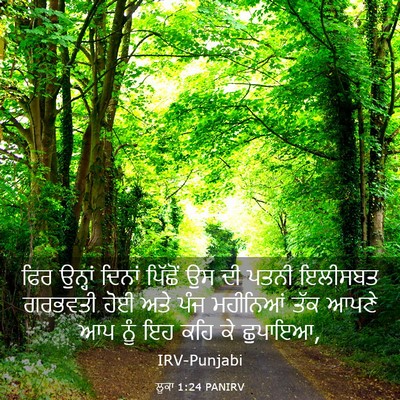 Picture 03 - ਲੂਕਾ 1:24 PANIRV - ਫਿਰ ਉਨ੍ਹਾਂ ਦਿਨਾਂ - Bible Verse Picture