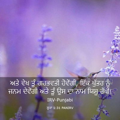 Picture 03 - ਲੂਕਾ 1:31 PANIRV - ਅਤੇ ਵੇਖ ਤੂੰ ਗਰਭਵਤੀ - Bible Verse Picture