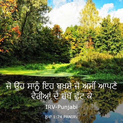 Picture 03 - ਲੂਕਾ 1:74 PANIRV - ਜੋ ਉਹ ਸਾਨੂੰ ਇਹ - Bible Verse Picture