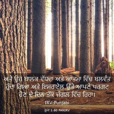 Picture 03 - ਲੂਕਾ 1:80 PANIRV - ਅਤੇ ਉਹ ਬਾਲਕ ਵੱਧਦਾ - Bible Verse Picture