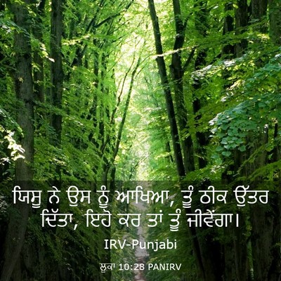 Picture 03 - ਲੂਕਾ 10:28 PANIRV - ਯਿਸੂ ਨੇ ਉਸ ਨੂੰ - Bible Verse Picture