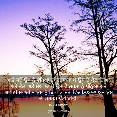 Picture 03 - ਲੂਕਾ 10:34 PANIRV - ਅਤੇ ਜਦੋਂ ਉਸ ਨੂੰ - Bible Verse Picture