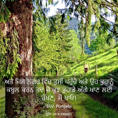 Picture 03 - ਲੂਕਾ 10:8 PANIRV - ਅਤੇ ਜਿਸ ਨਗਰ ਵਿੱਚ - Bible Verse Picture