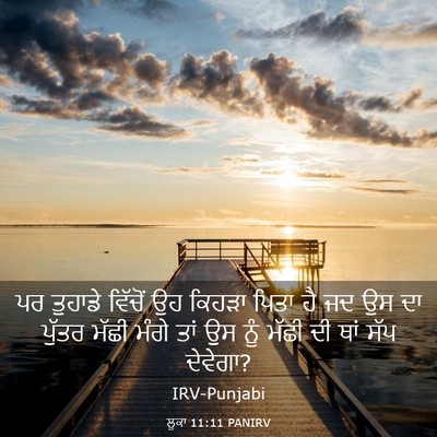 Picture 03 - ਲੂਕਾ 11:11 PANIRV - ਪਰ ਤੁਹਾਡੇ ਵਿੱਚੋਂ - Bible Verse Picture