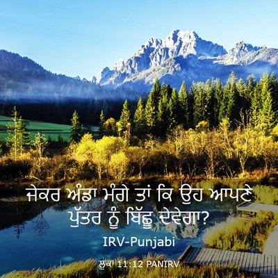 Picture 03 - ਲੂਕਾ 11:12 PANIRV - ਜੇਕਰ ਅੰਡਾ ਮੰਗੇ ਤਾਂ - Bible Verse Picture