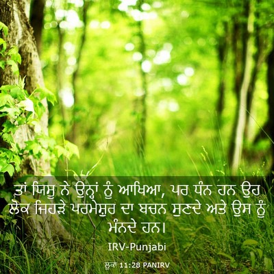 Picture 03 - ਲੂਕਾ 11:28 PANIRV - ਤਾਂ ਯਿਸੂ ਨੇ ਉਨ੍ਹਾਂ - Bible Verse Picture