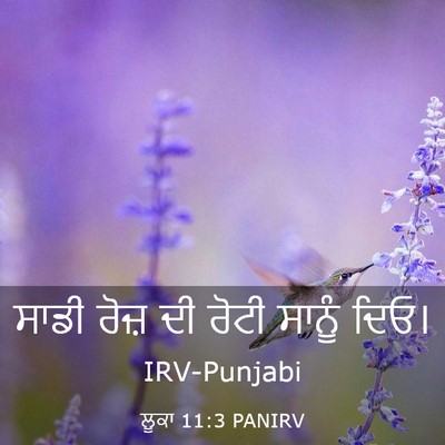Picture 03 - ਲੂਕਾ 11:3 PANIRV - ਸਾਡੀ ਰੋਜ਼ ਦੀ ਰੋਟੀ - Bible Verse Picture