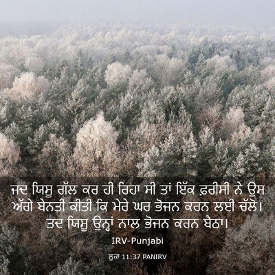 Picture 03 - ਲੂਕਾ 11:37 PANIRV - ਜਦ ਯਿਸੂ ਗੱਲ ਕਰ ਹੀ - Bible Verse Picture