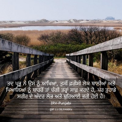 Picture 03 - ਲੂਕਾ 11:39 PANIRV - ਤਦ ਪ੍ਰਭੂ ਨੇ ਉਸ ਨੂੰ - Bible Verse Picture