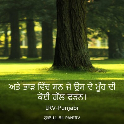 Picture 03 - ਲੂਕਾ 11:54 PANIRV - ਅਤੇ ਤਾੜ ਵਿੱਚ ਸਨ ਜੋ - Bible Verse Picture