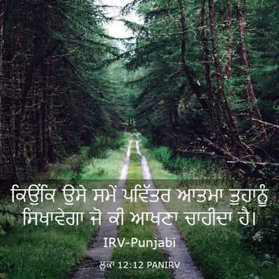 Picture 03 - ਲੂਕਾ 12:12 PANIRV - ਕਿਉਂਕਿ ਉਸੇ ਸਮੇਂ - Bible Verse Picture