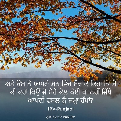 Picture 03 - ਲੂਕਾ 12:17 PANIRV - ਅਤੇ ਉਸ ਨੇ ਆਪਣੇ ਮਨ - Bible Verse Picture