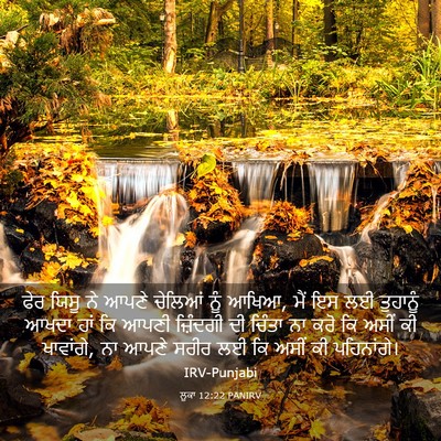 Picture 03 - ਲੂਕਾ 12:22 PANIRV - ਫੇਰ ਯਿਸੂ ਨੇ ਆਪਣੇ - Bible Verse Picture