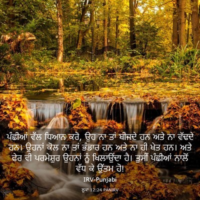 Picture 03 - ਲੂਕਾ 12:24 PANIRV - ਪੰਛੀਆਂ ਵੱਲ ਧਿਆਨ - Bible Verse Picture
