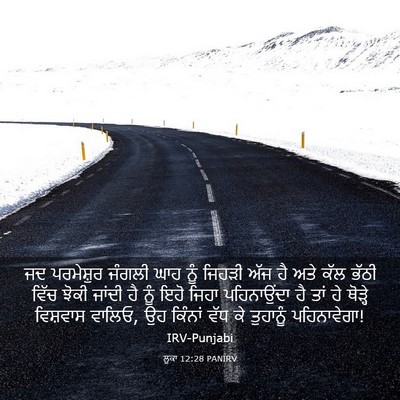 Picture 03 - ਲੂਕਾ 12:28 PANIRV - ਜਦ ਪਰਮੇਸ਼ੁਰ ਜੰਗਲੀ - Bible Verse Picture
