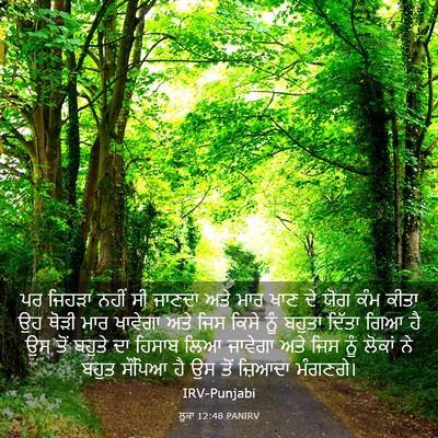 Picture 03 - ਲੂਕਾ 12:48 PANIRV - ਪਰ ਜਿਹੜਾ ਨਹੀਂ ਸੀ - Bible Verse Picture