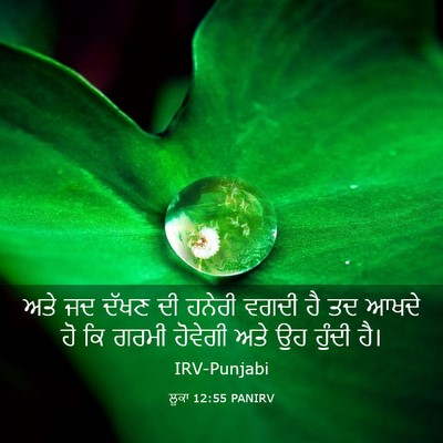 Picture 03 - ਲੂਕਾ 12:55 PANIRV - ਅਤੇ ਜਦ ਦੱਖਣ ਦੀ - Bible Verse Picture