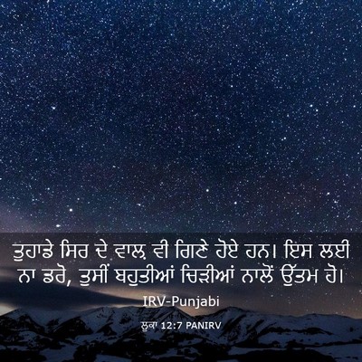 Picture 03 - ਲੂਕਾ 12:7 PANIRV - ਤੁਹਾਡੇ ਸਿਰ ਦੇ ਵਾਲ਼ - Bible Verse Picture