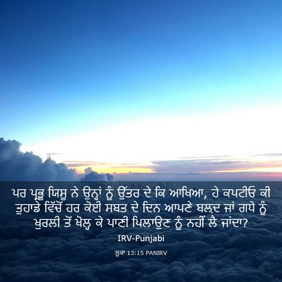 Picture 03 - ਲੂਕਾ 13:15 PANIRV - ਪਰ ਪ੍ਰਭੂ ਯਿਸੂ ਨੇ - Bible Verse Picture