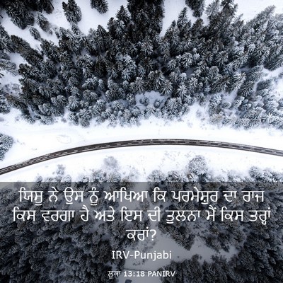 Picture 03 - ਲੂਕਾ 13:18 PANIRV - ਯਿਸੂ ਨੇ ਉਸ ਨੂੰ ਆਖਿਆ - Bible Verse Picture
