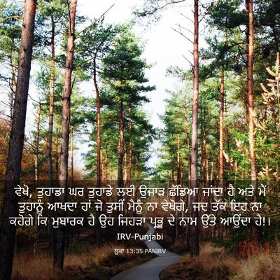 Picture 03 - ਲੂਕਾ 13:35 PANIRV - ਵੇਖੋ, ਤੁਹਾਡਾ ਘਰ - Bible Verse Picture