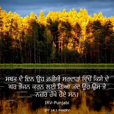 Picture 03 - ਲੂਕਾ 14:1 PANIRV - ਸਬਤ ਦੇ ਦਿਨ ਉਹ - Bible Verse Picture