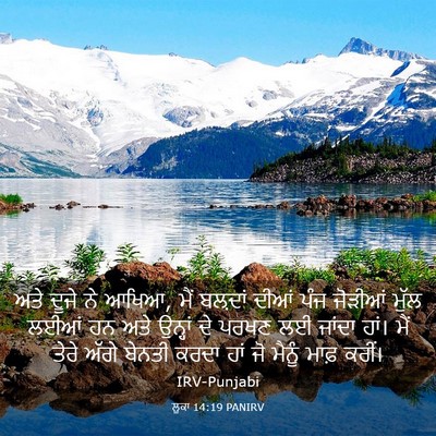 Picture 03 - ਲੂਕਾ 14:19 PANIRV - ਅਤੇ ਦੂਜੇ ਨੇ ਆਖਿਆ, - Bible Verse Picture