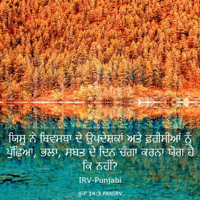 Picture 03 - ਲੂਕਾ 14:3 PANIRV - ਯਿਸੂ ਨੇ ਬਿਵਸਥਾ ਦੇ - Bible Verse Picture