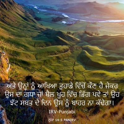 Picture 03 - ਲੂਕਾ 14:5 PANIRV - ਅਤੇ ਉਨ੍ਹਾਂ ਨੂੰ - Bible Verse Picture