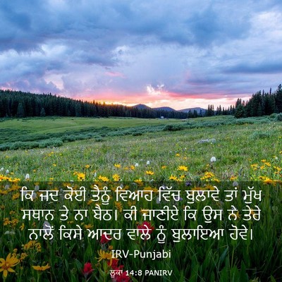 Picture 03 - ਲੂਕਾ 14:8 PANIRV - ਕਿ ਜਦ ਕੋਈ ਤੈਨੂੰ - Bible Verse Picture
