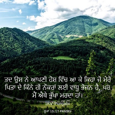 Picture 03 - ਲੂਕਾ 15:17 PANIRV - ਤਦ ਉਸ ਨੇ ਆਪਣੀ ਹੋਸ਼ - Bible Verse Picture