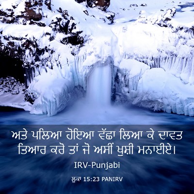Picture 03 - ਲੂਕਾ 15:23 PANIRV - ਅਤੇ ਪਲਿਆ ਹੋਇਆ ਵੱਛਾ - Bible Verse Picture