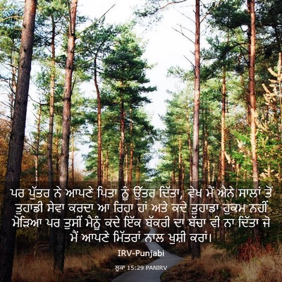 Picture 03 - ਲੂਕਾ 15:29 PANIRV - ਪਰ ਪੁੱਤਰ ਨੇ ਆਪਣੇ - Bible Verse Picture
