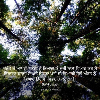 Picture 03 - ਲੂਕਾ 16:18 PANIRV - ਹਰੇਕ ਜੋ ਆਪਣੀ ਪਤਨੀ - Bible Verse Picture