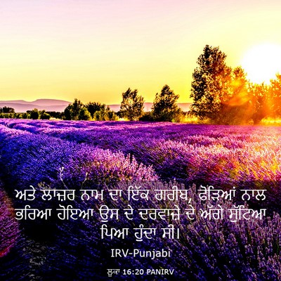 Picture 03 - ਲੂਕਾ 16:20 PANIRV - ਅਤੇ ਲਾਜ਼ਰ ਨਾਮ ਦਾ - Bible Verse Picture