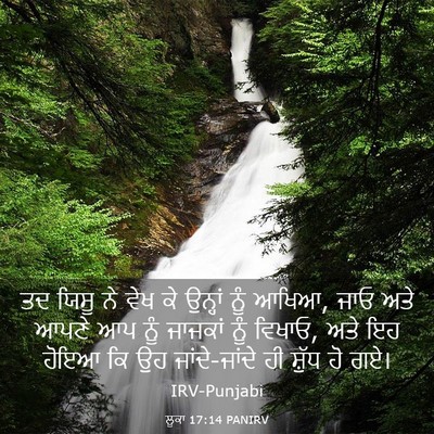 Picture 03 - ਲੂਕਾ 17:14 PANIRV - ਤਦ ਯਿਸੂ ਨੇ ਵੇਖ ਕੇ - Bible Verse Picture