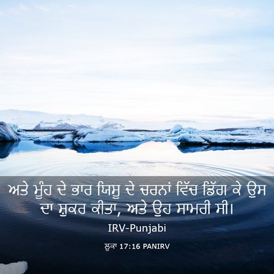 Picture 03 - ਲੂਕਾ 17:16 PANIRV - ਅਤੇ ਮੂੰਹ ਦੇ ਭਾਰ - Bible Verse Picture