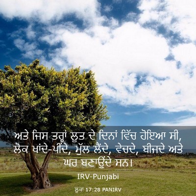 Picture 03 - ਲੂਕਾ 17:28 PANIRV - ਅਤੇ ਜਿਸ ਤਰ੍ਹਾਂ ਲੂਤ - Bible Verse Picture