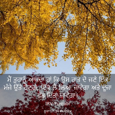 Picture 03 - ਲੂਕਾ 17:34 PANIRV - ਮੈਂ ਤੁਹਾਨੂੰ ਆਖਦਾ - Bible Verse Picture