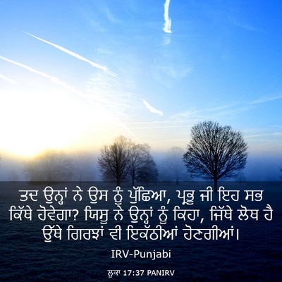 Picture 03 - ਲੂਕਾ 17:37 PANIRV - ਤਦ ਉਨ੍ਹਾਂ ਨੇ ਉਸ ਨੂੰ - Bible Verse Picture